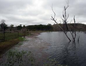 Here’s an ideal weedline to prospect with sinking minnows. The overcast day is pretty good too as it will help keep the fish biting that little bit longer.