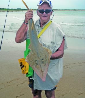 Graham fought like blazes with his light whiting gear to bring this hefty shovelnose ray into the beach at Curtis.