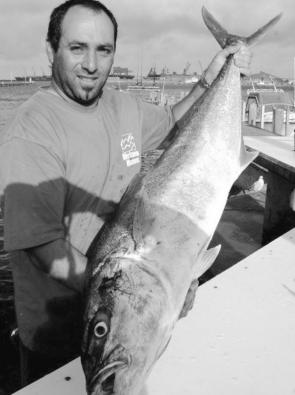 Ross Dimauro with a 15kg yellowtail kingfish that he caught out from the North Shore at Portland.