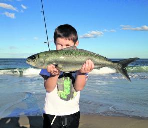 Salmon are great fun fish for kids to catch. Noah Ellis-Helmers, 6, caught this one at Birdie Beach.