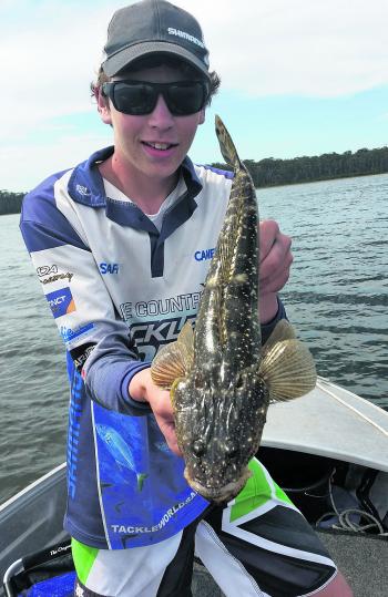 Cam Cleal shows off a typical Gippy Lakes flathead. Summer is all about finding where the duskies are hanging out.