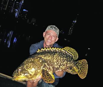 Andy Sparnon from CoastfishTV caught this impressive land-based Queensland grouper on the Gold Coast.