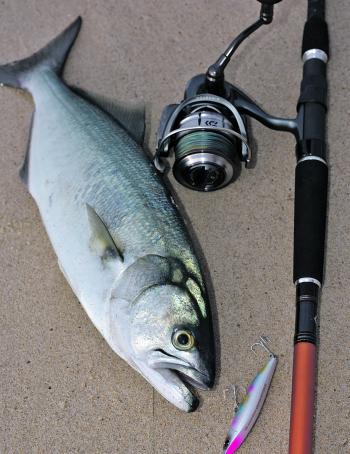 Fishing Monthly Magazines : Beach fishing – baits or lures?