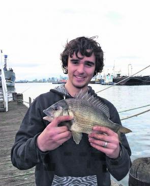 Live crabs brought about several bream for Nathan Wright amongst the jetty pylons and moored boats at Williamstown. 