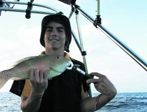 Tom Carrol with a tuskfish taken around Caloundra Wide.