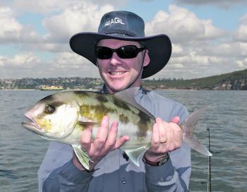 Samson fish are more common than ever and can even be caught through winter!