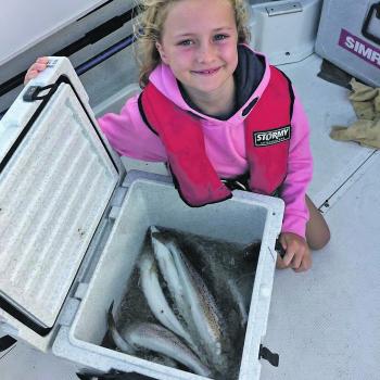 An early morning start paid off with a solid box of thumper whiting on board.