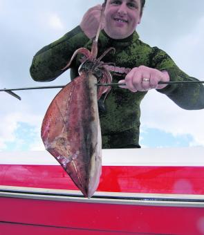 Squid spearfishing season is upon us.