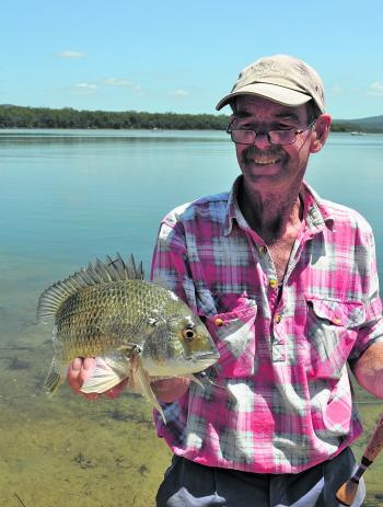 It looks like another good season for bream in our area.