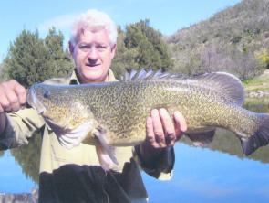 Murray cod are now off limits until December. Let them spawn in peace.