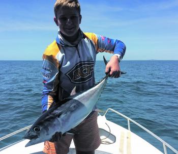 Tuna have been wreaking havoc on the bait school inshore, along with other predators like mackerel.