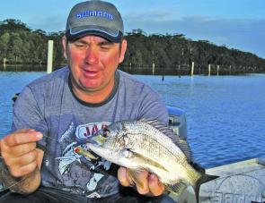 Surface lures work a treat on Summer bream. This one took a Viking lure worked around a shallow weed bed.