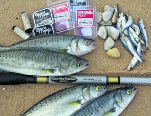 Salmon fishing warrants the correct tackle to be successful, light leader, quality hooks and the right bait will do the job.