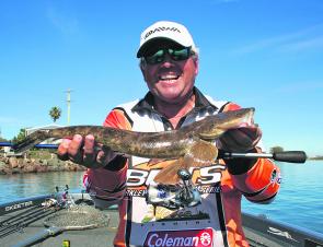 Flathead this time of year are always a welcome catch and will put a smile on your face.
