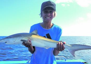 Kobi Lee-Leong with a sweet little whaler caught on a close reef off Tweed.