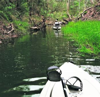 A tiny remote creek that is home to bass and a joy to discover.