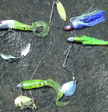 The author uses these lures during most bass sessions. Take note of the two Beetle Spin lures with soft plastics and the spinnerbait lure. These are must-have lures for any bass angler. 