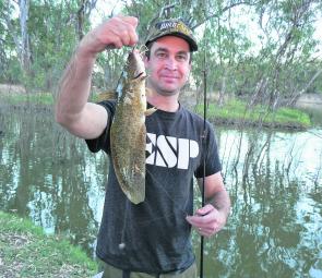 Catfish have been biting well in the evenings and after dark in the Wimmera River.