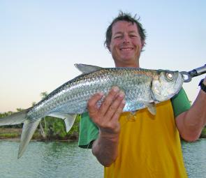 Tarpon are masters at missing a hook or dislodging it in seconds.