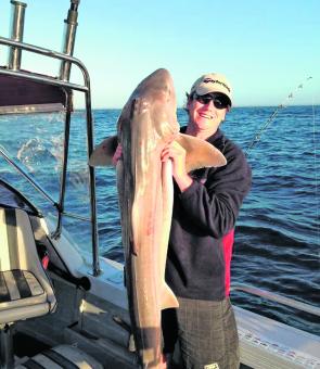 Jay Langstaff caught this 2m gummy shark offshore.