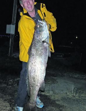 Keith Sloan with 15kg of river mulloway that took a live bait.