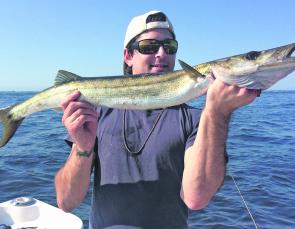 Jules Franks with a beast of a snook taken while trolling the salmon schools at the heads.