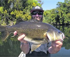 The upper Manning River has been yielding some great bass – like this one landed by Kris Hickson