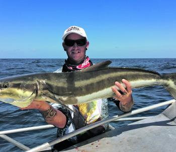 Carl caught a great cobia on a recent trip.
