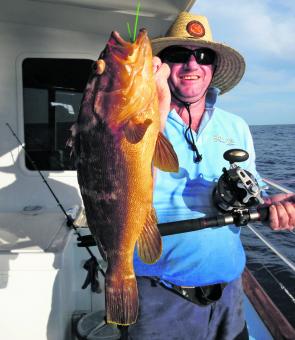 A reef-caught brown Maori cod; note the FinNor star drag reel and bottom basher outfit that the Maori was caught on.