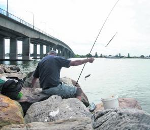The southeastern side of the Captain Cook Bridge is always worth a shot on the run-out tide for luderick and mullet.