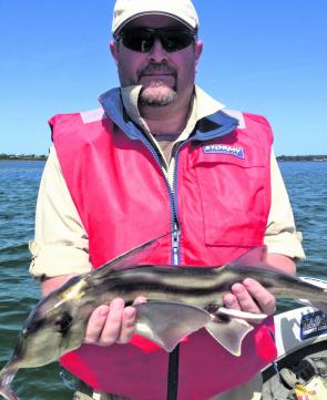 Jason Fidian with a quality elephant fish.