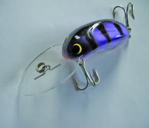 Medium sized lures with natural colour are the pick for foreshore trolling.