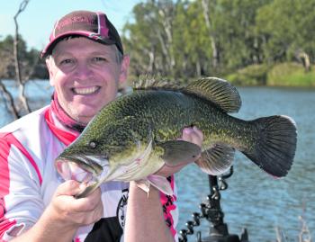 Stephen Booth visited Lake Mulwala in May to test out the new Zerek Live Mullet swimbaits, to be released in August. This 63cm cod said yes to the RD coloured 5” version.