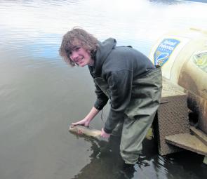 An IFS work experience student releasing Great Lake fish into waters of the Southern Highlands.