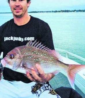 The author with the result of a plastic sinking session snapper style. 