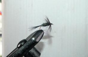 The Peacock Wet Fly.