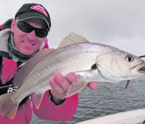 Bream, juvenile school mulloway and hopefully the odd larger specimen, are expected to remain active in the metropolitan rivers this month. 