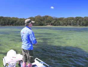 Extensive seagrass beds are no longer pockmarked and torn up by netters, encouraging further plant growth in these rich fish nurseries.