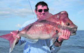 Thankfully the snapper have arrived in time to replace the pearlies as a common Caloundra catch.
