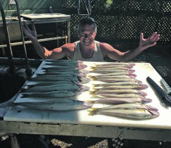Whiting continue to bite well in Western Port. Quality fish have been caught recently. A pipi and squid cocktail works best.