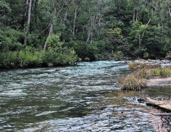 The river and creeks are off limits to trout fishing during the winter months and are set to re-open on the first Saturday in September.