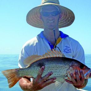 Mark grabbed hold of this quality fingermark from the waters of Cape Capricorn.