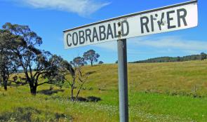 The Cobrabald River is a mainstay of the Walcha fishery.