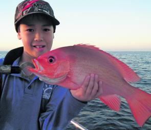 Gio is quickly learning the art of fishing. This was just one of several nannygai he caught in a session.