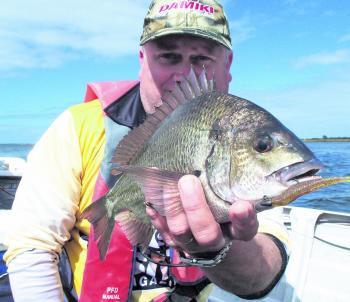 A 37cm Curdies bream. The Damiki Armor Shad saved the day when other offerings were rejected.