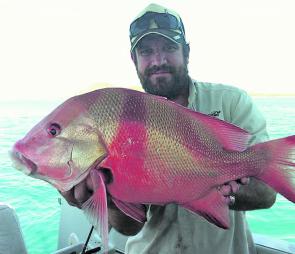 Some stonking red emperor have been a tasty addition to anglers’ bags. 