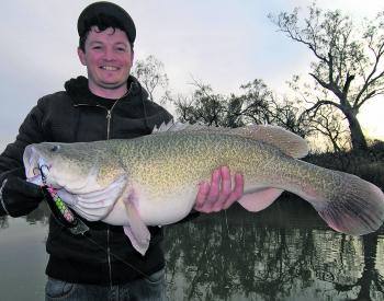 Sandy Tarrant with a new PB Murray cod taken on the troll using a StumpJumper lure. 