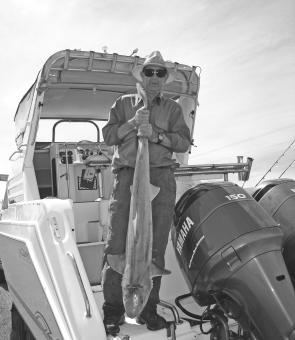 Gummy sharks are being caught offshore from Port Albert. If you have an appropriate boat, Cliffy Island is a good place to target them.