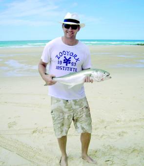 Trevor Atkinson caught this solid tailor on a local beach.