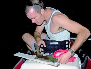Dale Graham measures an Orara River bass that attacked a thong popper.